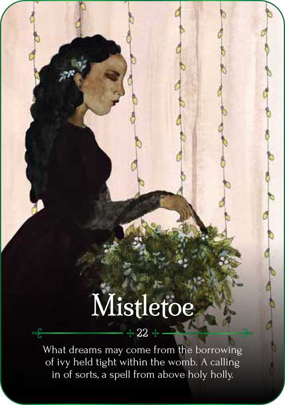 Seasons of the Witch: Yule Oracle by Lorriane Anderson: Flashcards; 144 pages, English