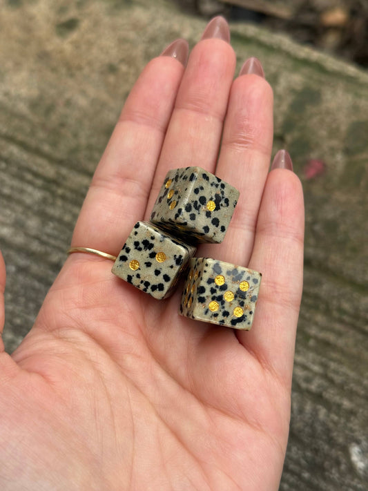 Dalmatian Jasper Carved Dice-D4