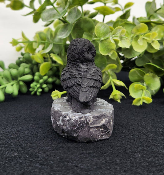 Shungite Figurine Owl Facing Sideways