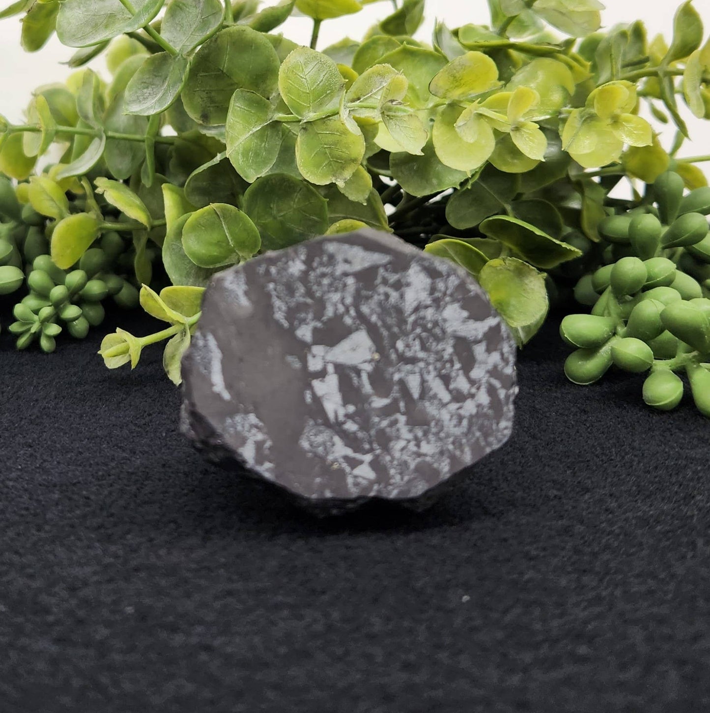 Shungite Figurine Owl Facing Sideways
